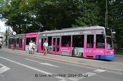 (C) Uwe Wittenfeld 2014-07-14 | Click to enlarge!