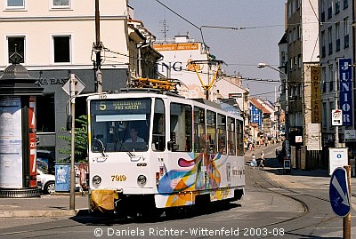 © Daniela Richter-Wittenfeld 2003-08 | Click to enlarge!