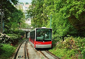 © Herta Wittenfeld